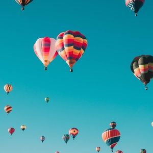 Meet your Posher, Allie